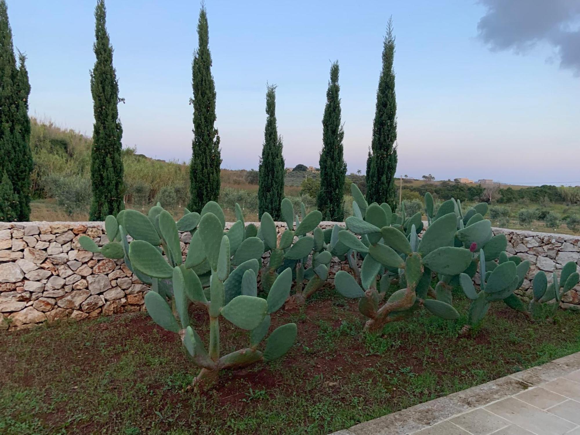 מרינה די פסקולוזה Relais Masseria Sant'Antonio מראה חיצוני תמונה